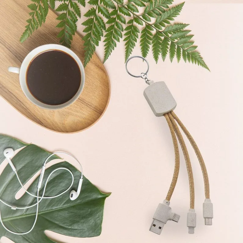 Multifunctional Charging Cable